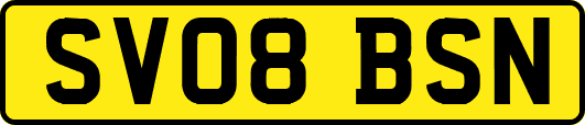 SV08BSN