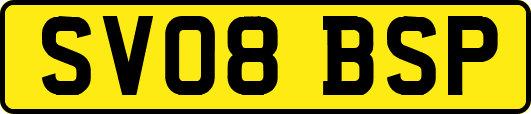 SV08BSP