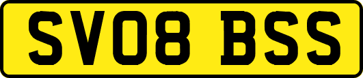 SV08BSS