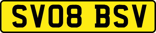 SV08BSV