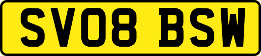 SV08BSW