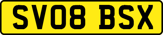 SV08BSX
