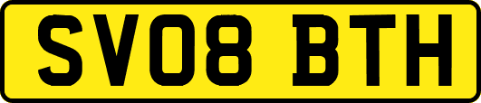SV08BTH