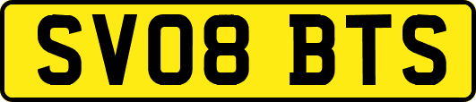 SV08BTS
