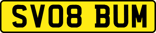 SV08BUM