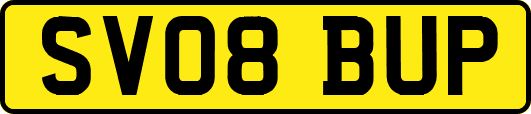 SV08BUP