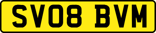 SV08BVM