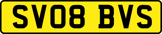 SV08BVS