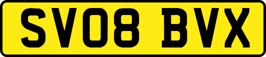 SV08BVX