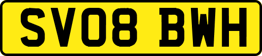 SV08BWH