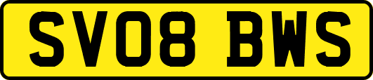 SV08BWS