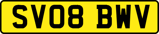 SV08BWV
