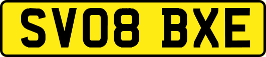 SV08BXE