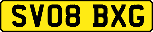 SV08BXG