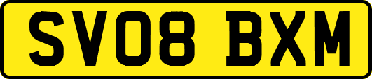 SV08BXM