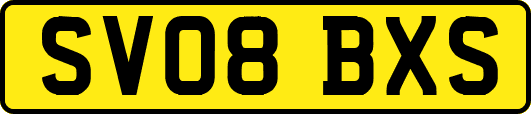 SV08BXS