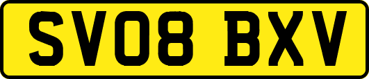 SV08BXV
