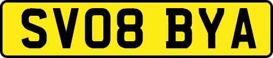 SV08BYA