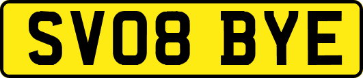 SV08BYE