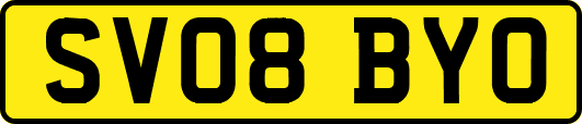 SV08BYO