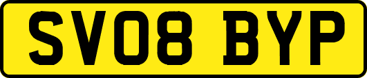 SV08BYP