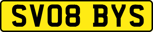 SV08BYS