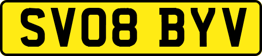 SV08BYV
