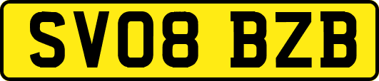 SV08BZB