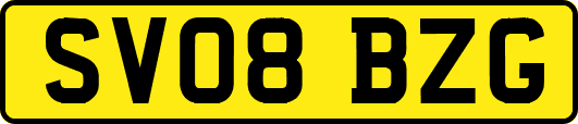 SV08BZG