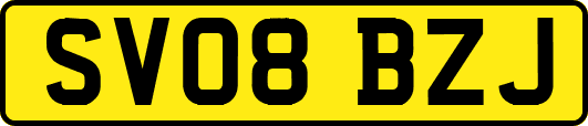 SV08BZJ