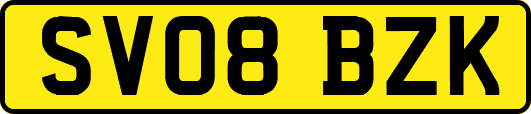 SV08BZK