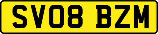 SV08BZM