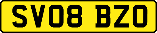 SV08BZO