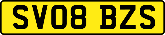 SV08BZS