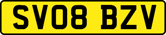 SV08BZV