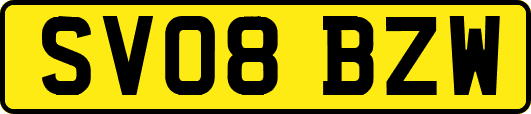 SV08BZW