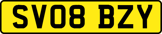 SV08BZY