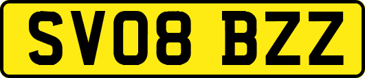 SV08BZZ