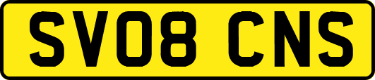SV08CNS