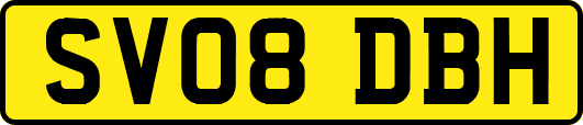 SV08DBH