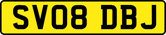 SV08DBJ