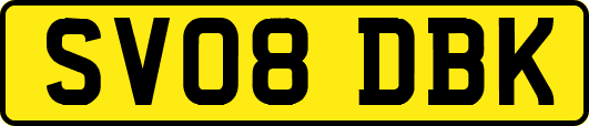 SV08DBK