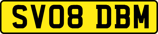 SV08DBM