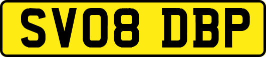 SV08DBP