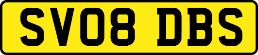 SV08DBS