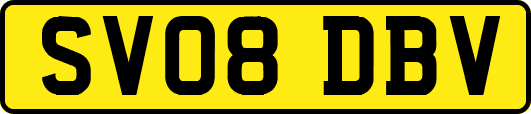 SV08DBV