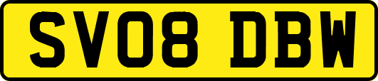 SV08DBW