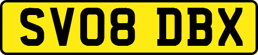 SV08DBX