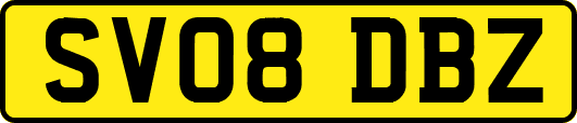 SV08DBZ