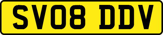 SV08DDV
